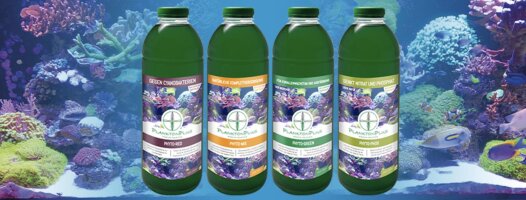 PlanktonPlus Phyto-Plankton
