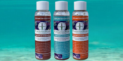 Zooplankton
