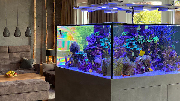 Aquarienbau & Aquarienservice