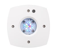 AI Prime 16HD Reef LED weiß (55 W)