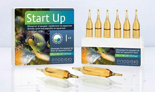 Prodibio Start Up Bakterien Meerwasser und Süßwasser Ampullen