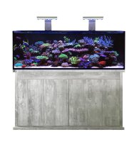 D-D Reef-Pro 1500 Driftwood Concrete Aquariumsystem...