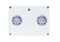 D-D Reef-Pro 1200 D-LUX White Gloss Aquarium inkl. Beleuchtung, Riffaufbau, Salz