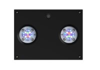 D-D Reef-Pro 1200 D-LUX Anthracite Gloss Aquarium inkl....