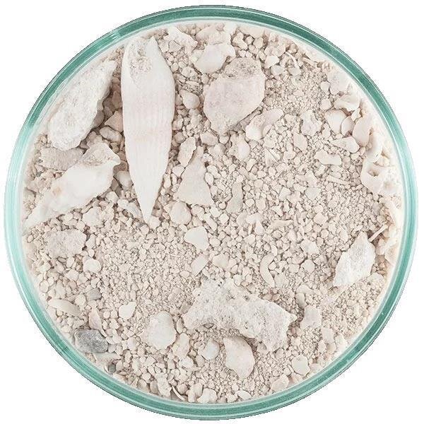 CaribSea Ocean Direct Original Grade (0,25-1mm) 9,07 kg