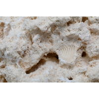 CaribSea South Seas Base Rock 18 kg