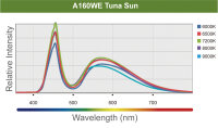 Kessil A160WE Tuna Sun (Süßwasser/Freshwater)
