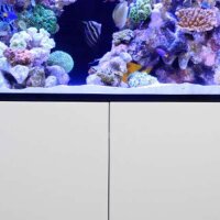 Red Sea MAX® E 260 LED (mit 2x ReefLED G2 115) Weiß (R40041)
