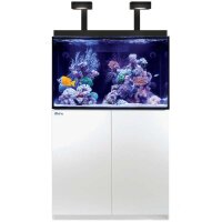 Red Sea MAX® E 260 LED (mit 2x ReefLED G2 115)...