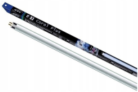 ATI Leuchtstoffröhre T5 Coral Plus 24 Watt
