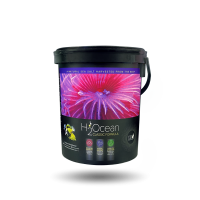 D-D H2Ocean Classic Formular Meersalz 6,6 kg Eimer
