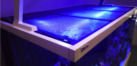 Red Sea Aquariennetzabdeckung 24/60cm (inkl. 1...