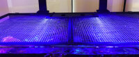 Red Sea Aquariennetzabdeckung 24/60cm (inkl. 1 Universalausschnitt) (R42080)
