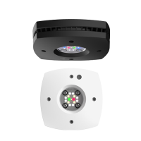 AI Prime 16HD Freshwater Schwarz