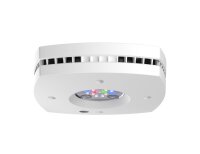 AI Prime 16HD Freshwater Weiß