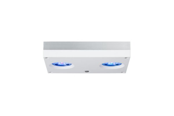 AI Hydra 32HD LED weiß (90 W)