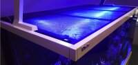 Red Sea Aquariennetzabdeckung 60/150cm (inkl. 1...