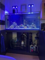 D-D AQUA-Pro Reef 1200 Anthracite Matt 120x60x56cm Aquariumsystem mit Holzschrank