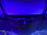 D-D AQUA-Pro Reef 1200 Anthracite Matt 120x60x56cm Aquariumsystem mit Holzschrank