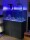 D-D AQUA-Pro Reef 1200 Anthracite Matt 120x60x56cm Aquariumsystem mit Holzschrank