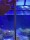 D-D AQUA-Pro Reef 1200 Anthracite Matt 120x60x56cm Aquariumsystem mit Holzschrank