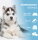 ARKA Pipi-Weg Urin- und Fleckenentferner Hund 750 ml