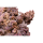 CaribSea LifeRock XL Arch (1 Bogen ca. 61cm)
