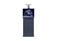 D-D Reef-Pro 600 Anthracite Gloss Aquariumsystem 60x60x46cm