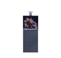 D-D AQUA-Pro Reef 600 Cube Anthracite Matt 60x60x60cm...