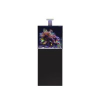 D-D AQUA-Pro Reef 600 Cube Black Gloss 60x60x60cm...