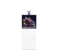 D-D AQUA-Pro Reef 600 Cube White Gloss 60x60x60cm...