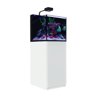 Red Sea MAX NANO G2 XL inkl. weißer Unterschrank...