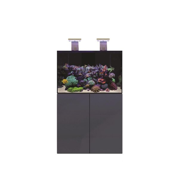 D-D AQUA-Pro Reef 900 Anthracite Matt 90x50x60cm Aquariumsystem mit Holzschrank