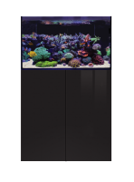 D-D AQUA-Pro Reef 900 Black Gloss 90x50x60cm...