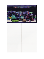 D-D AQUA-Pro Reef 900 White Gloss 90x50x60cm...