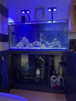D-D AQUA-Pro Reef 1200 Japanese Pear Gloss 120x60x56cm Aquariumsystem mit Holzschrank