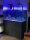 D-D AQUA-Pro Reef 1200 Japanese Pear Gloss 120x60x56cm Aquariumsystem mit Holzschrank