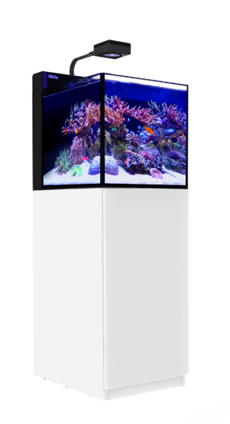 Red Sea MAX NANO G2 Peninsula inkl. weißer Unterschrank (R40006G2)