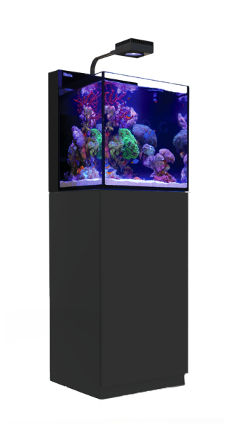 Red Sea MAX NANO G2 Cube inkl. schwarzer Unterschrank (R40000G2)