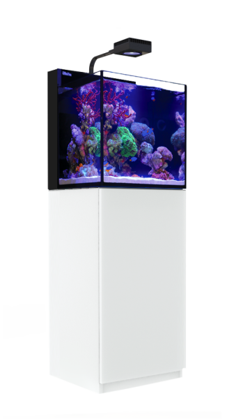 Red Sea MAX NANO G2 Cube inkl. weißer Unterschrank (R40001G2)