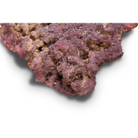 CaribSea LifeRock Shelf Rock Large 53 cm