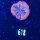 Scolymia australis WYSIWYG 0618