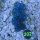 Tridacna maxima Muschel türkis/blau 4-5cm 0202