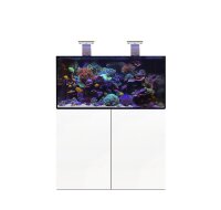 D-D AQUA-Pro Reef 1200 Metal Frame White Gloss...