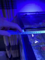 D-D AQUA-Pro Reef 1200 Metal Frame White Gloss 120x60x56cm Aquariumsystem