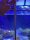 D-D AQUA-Pro Reef 1200 Metal Frame White Gloss 120x60x56cm Aquariumsystem
