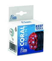 Fauna Marin Coral Mount Ø 4cm Magnet für...
