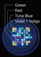 Kessil A360XE Tuna Blue (max. 90 W)