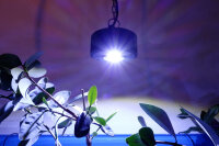 Kessil A360XE Tuna Blue (max. 90 W)