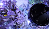 Kessil A360XE Tuna Blue (max. 90 W)